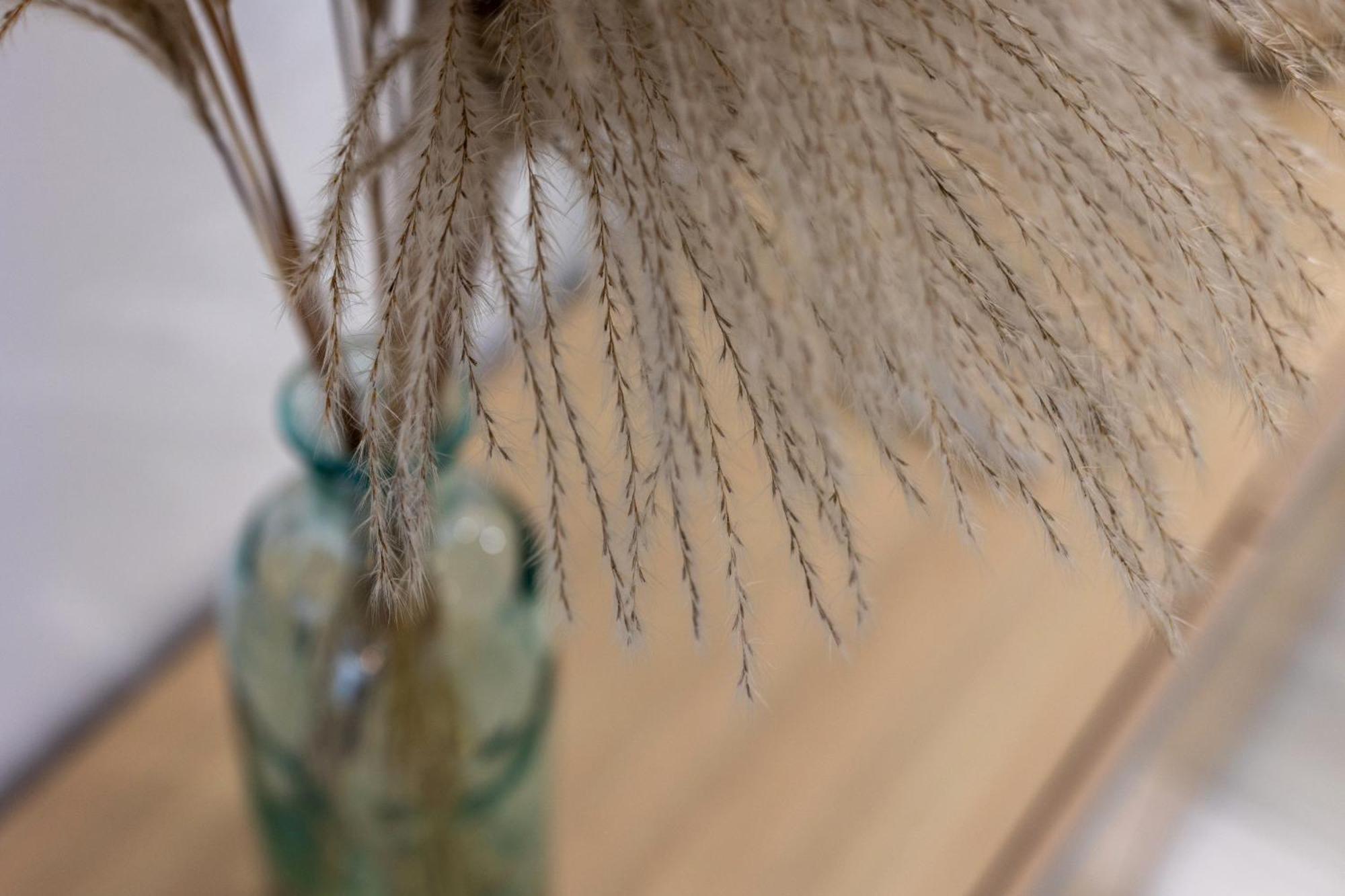 3 Bedroom Elegant & Cozy City Centre Granada Kültér fotó